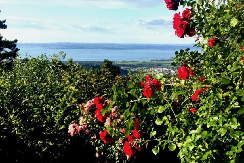 See in Sicht - foto 22