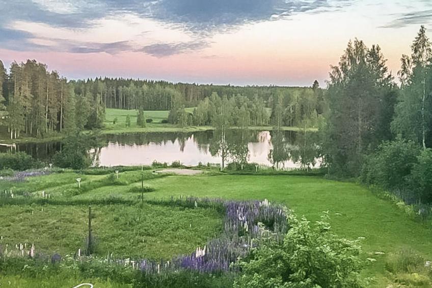 Vilppulan huvila - foto 34