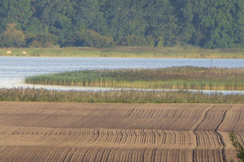 Galerie Mitte - foto 41