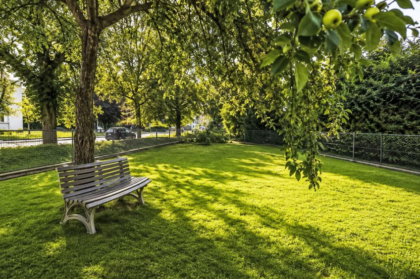 Wohnung"Gartenblick" - foto 17