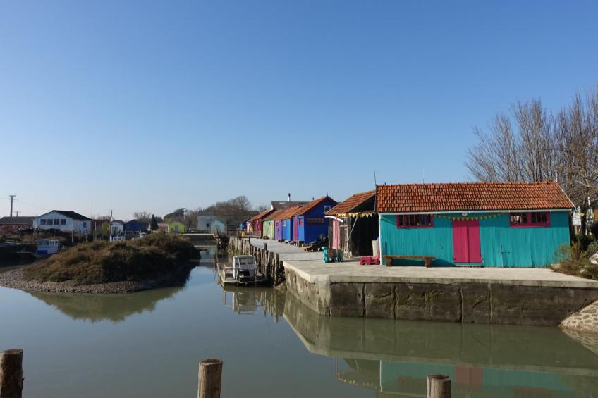 Les Epinouses - foto 39