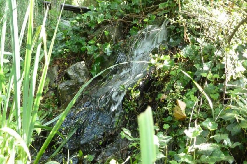 Verblijfpark Breebos 4 - foto 40