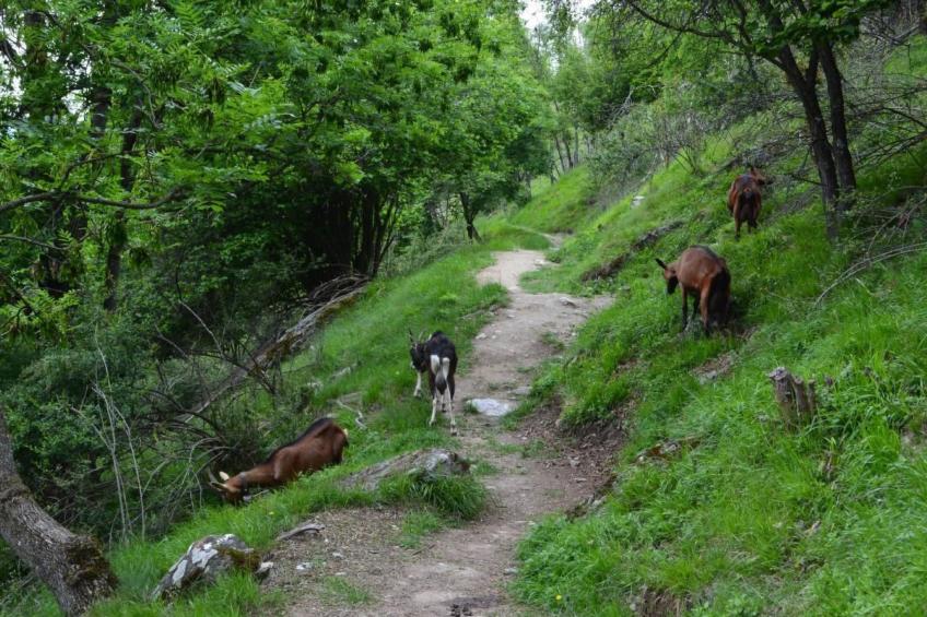 "Sunny duplex" mit Sauna - foto 30