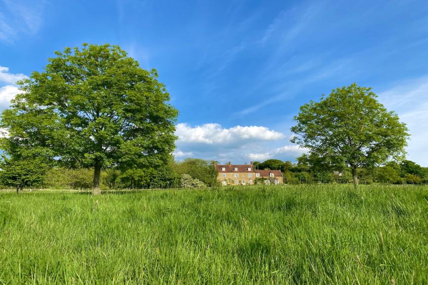 New Park Farm - foto 53