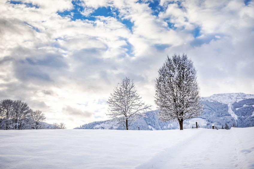 Hanserbauer - foto 38