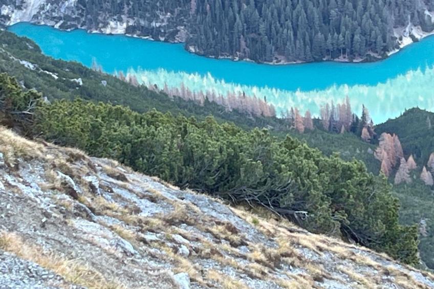 Chasa Ernst - foto 35