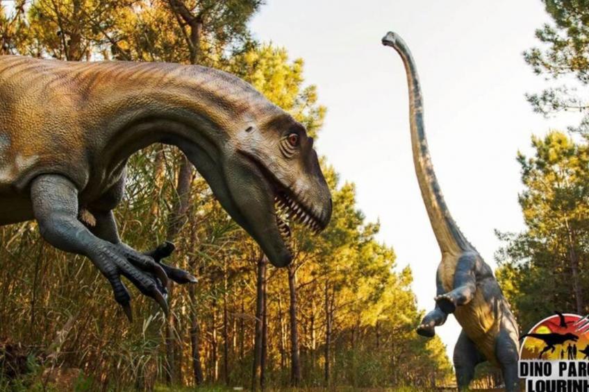 Weißer Sand Balkone - foto 45