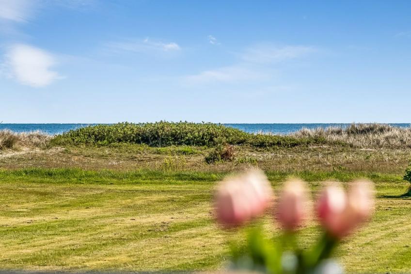 "Nomi" - 100m from the sea - foto 17