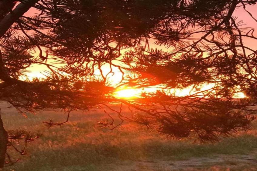 Ferienhaus an der Ostsee in Pruchten - foto 37