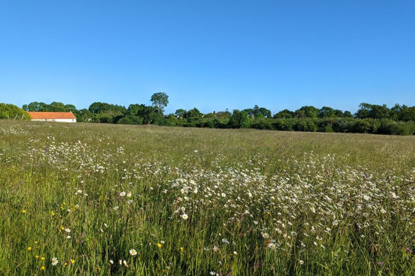 in Vesly mit Beheiztem gemeinsamem Pool - foto 18