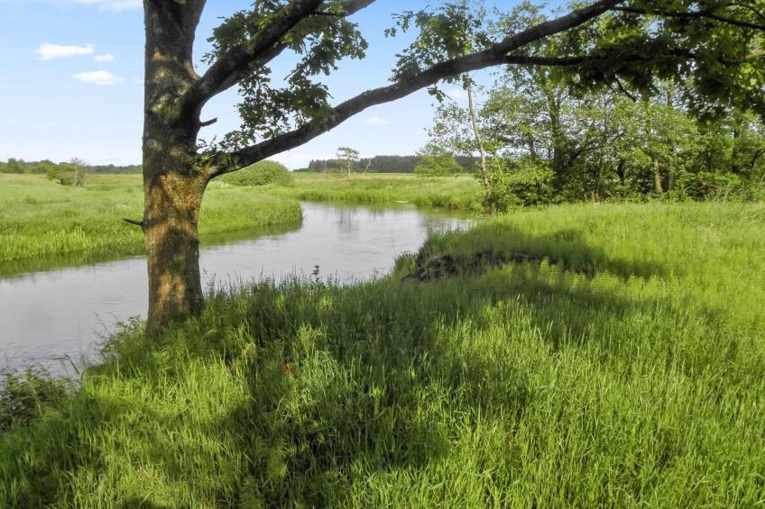 "Beatha" - 25km to the inlet in Western Jutland - foto 7