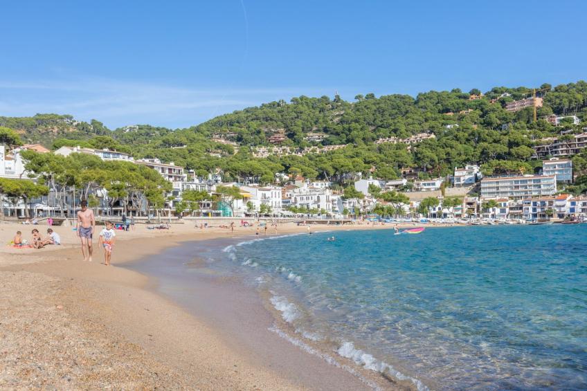 Ancora 14 B-1 - foto 16