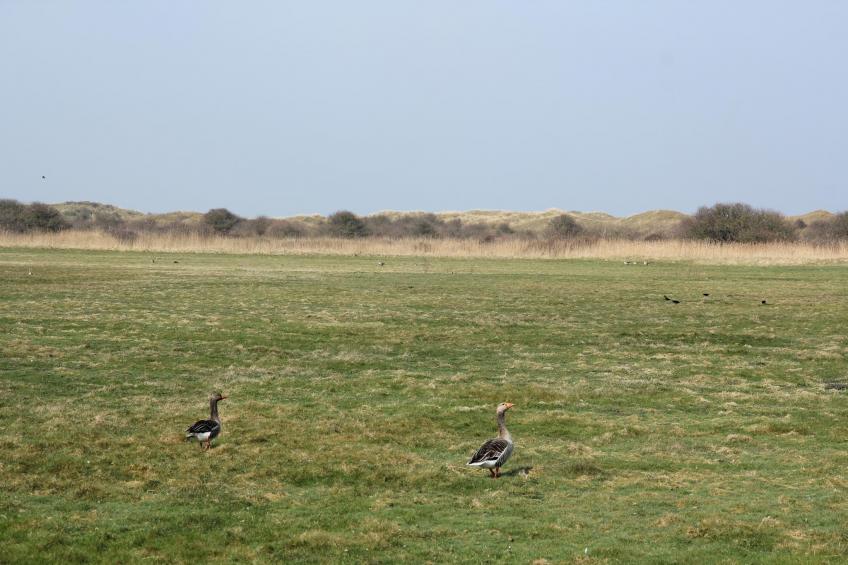 Noorderlicht - foto 20