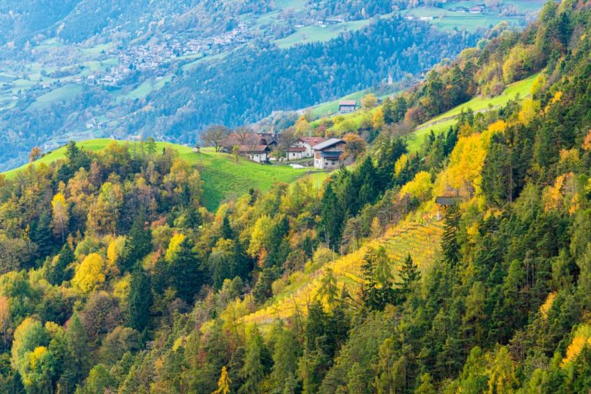 Residence Sporting Club Bilocale 4 Letti - Solo Locazione - foto 9