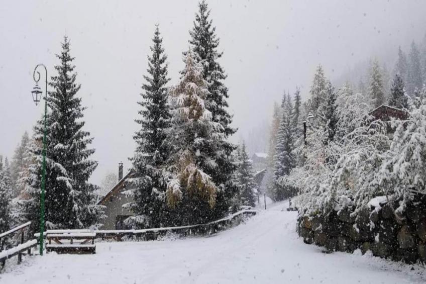 La Turra N°407 - 3P6 - foto 29