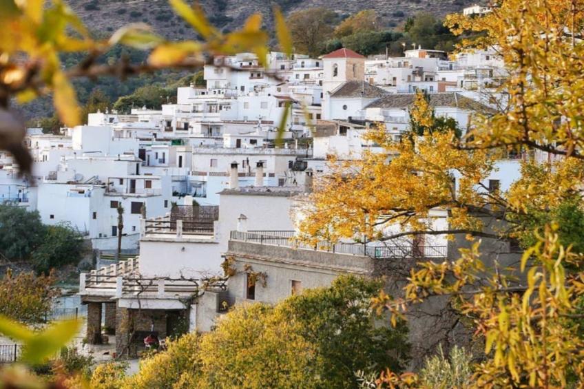 4608-Andrés-707 - foto 14