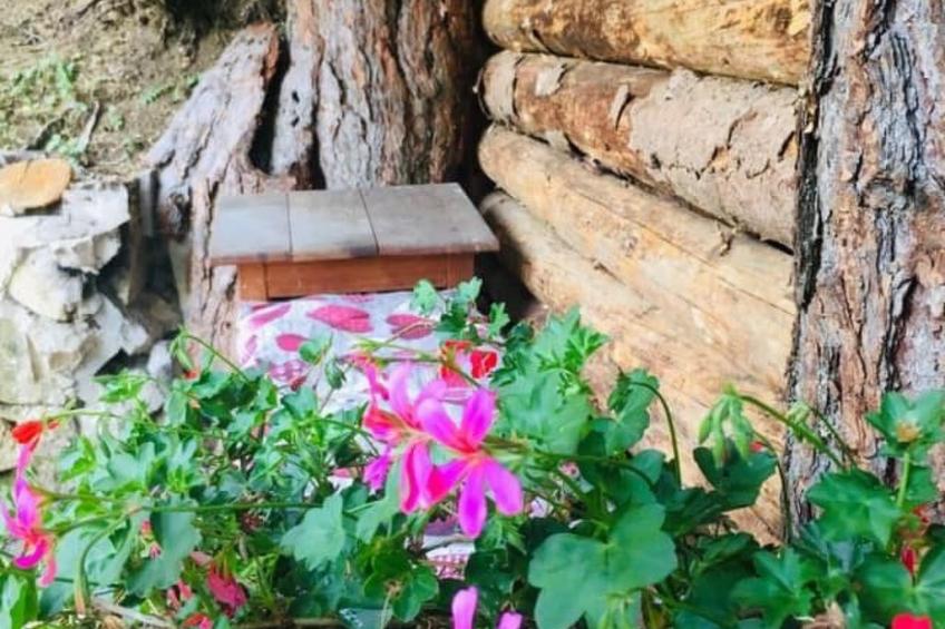 mit Sauna in Pieve Di Bono - foto 27