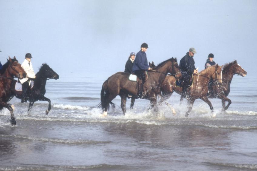 "L'Eucalyptus - foto 14