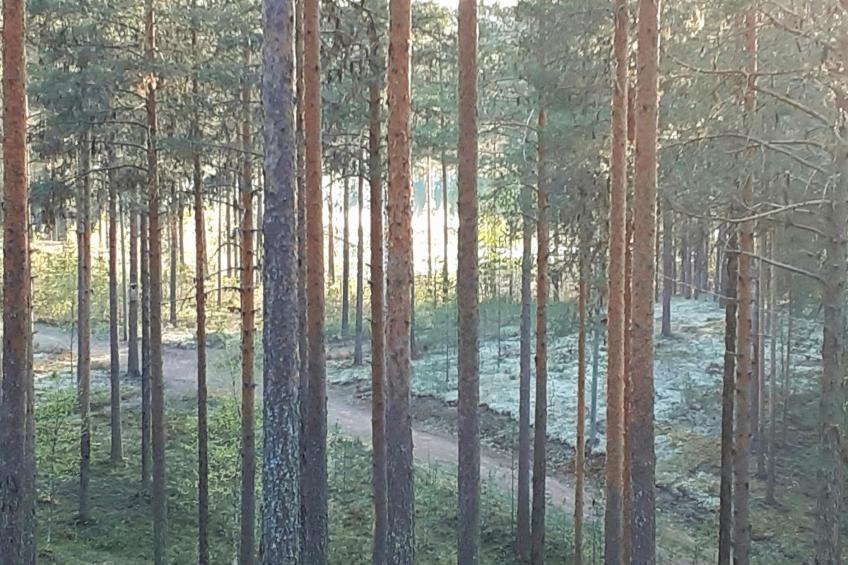 Rokua vaulutupa - foto 18