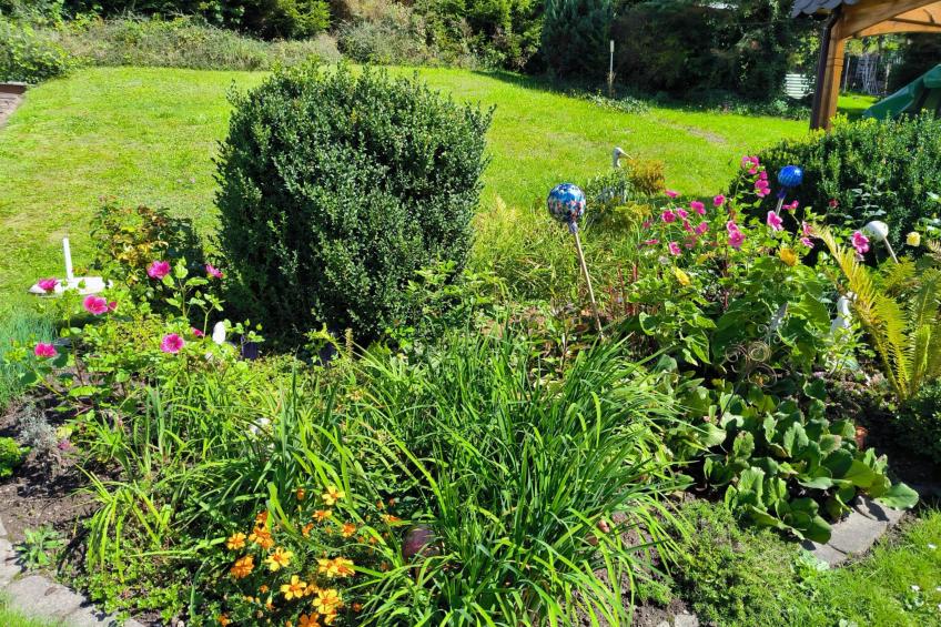 Am Springelbach - foto 17