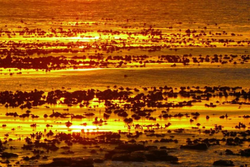 Das Bay House - Luxuriöses Wohnen an der Küste in Kommetjie - foto 7