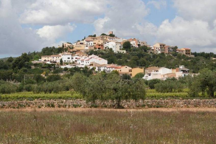 Els Cups, casa rural - foto 39