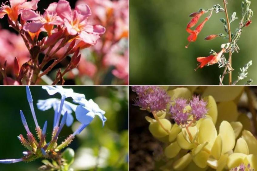 Wohnung mit allem Komfort Strand zu Fuß - foto 50
