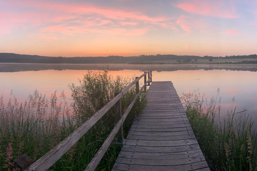 in Ulmen mit Grill - foto 15