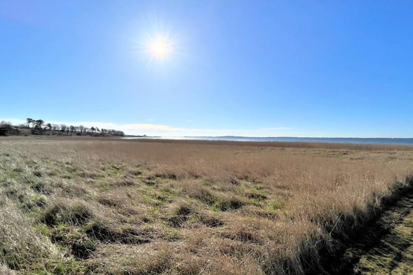 "Vemund" - 100m to the inlet in Sealand - foto 31