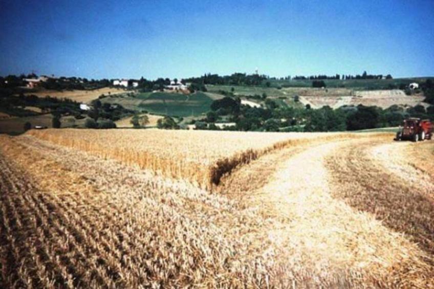 Beato Enrico - foto 24