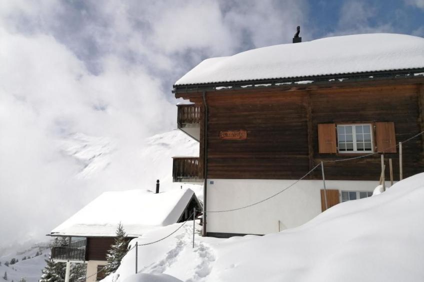 Bella Strega - foto 3