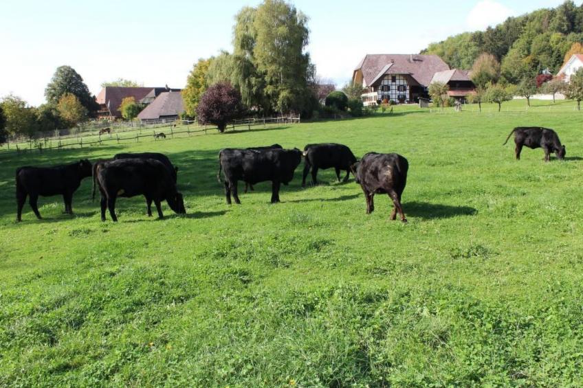 Leinacherhof - foto 22