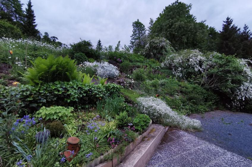 Wohnung in Bad Gottleuba - foto 17