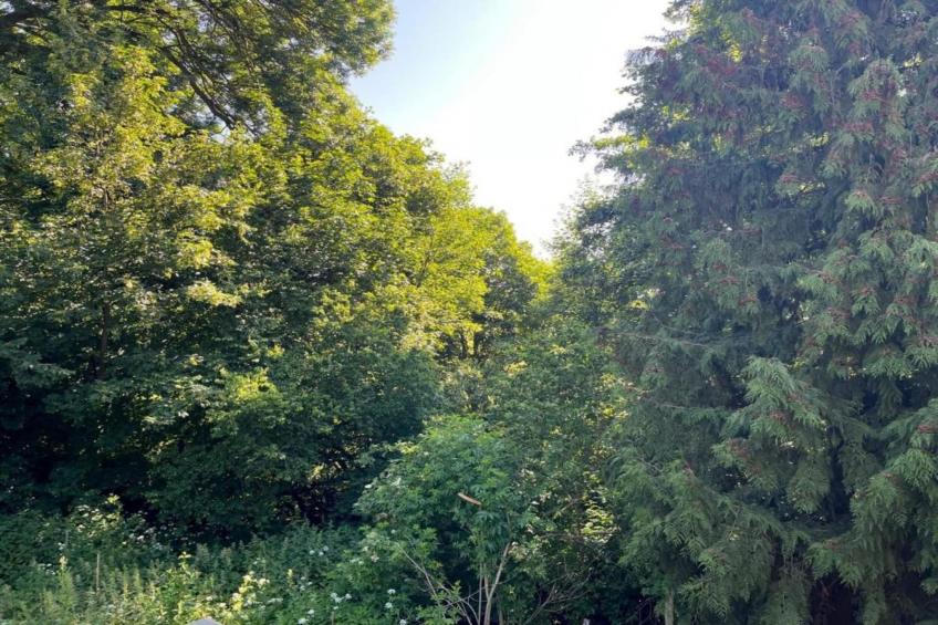 Holzhaus Andi - foto 24