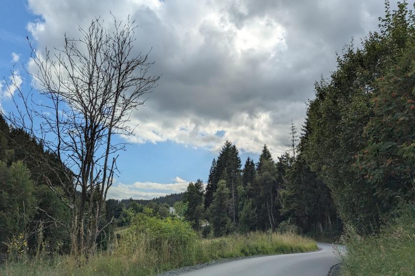 Am Südhang 11 - foto 37