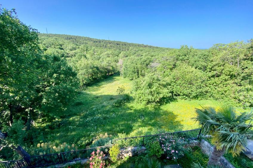 Villa Theresa - foto 15