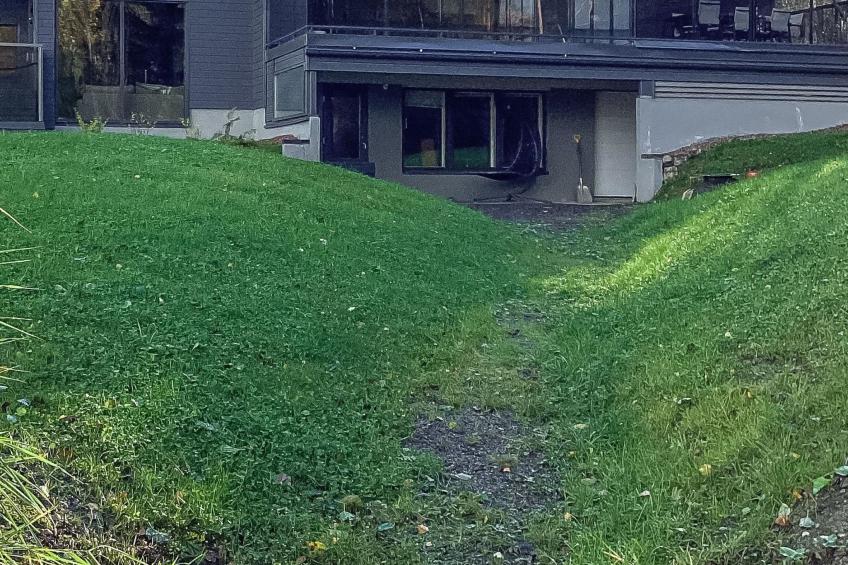 Käkikello - foto 23