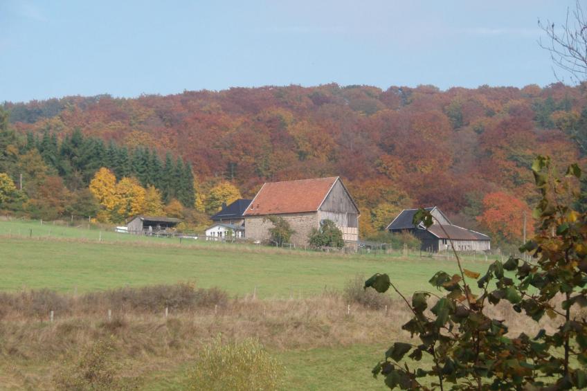 Little Stonehouse - foto 19