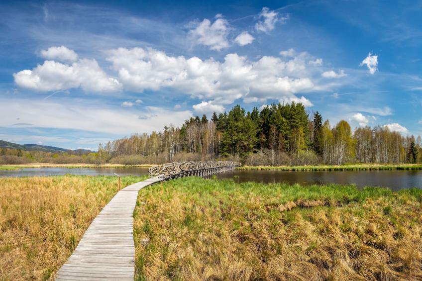 Chalet Houbovy vrch - foto 23