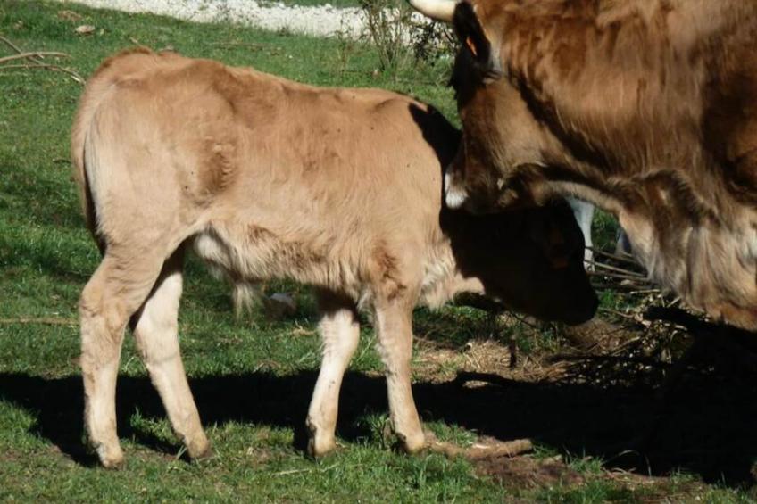 Gîte de France Gîte "la nature" 4 épis - foto 29