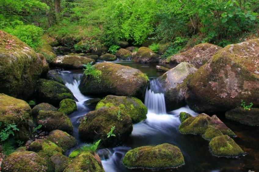 Little Dunley - The Tiny House - foto 21