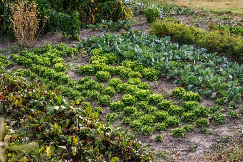 Authentic stone house Momo - foto 38