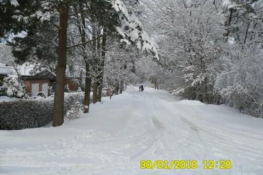 Elbe-Ilenpool -In Ruhe entspannen - foto 30