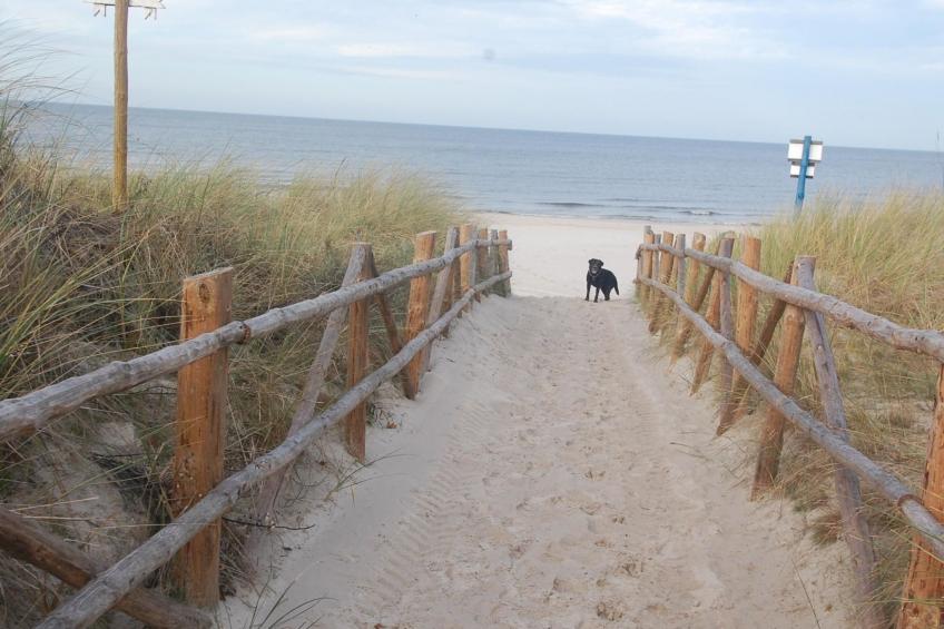 Haus am Meer - foto 47