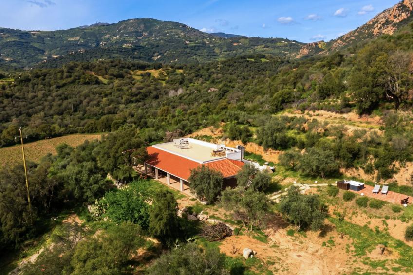 S'Olioni - foto 33