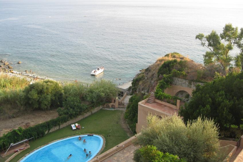 Mandorlo - foto 6
