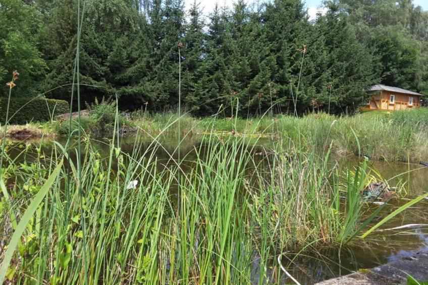 Am Ferienhof - foto 29