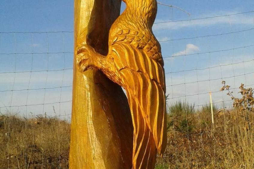 Wohnung in Brauneberg mit Terrasse und Garten - foto 20