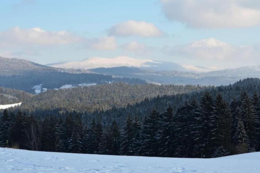 Gemütliche Ferienwohnung in Weiherhäuser mit Garten und Terrasse - foto 17
