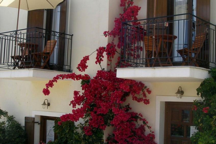 Mylos Trikeri - foto 26